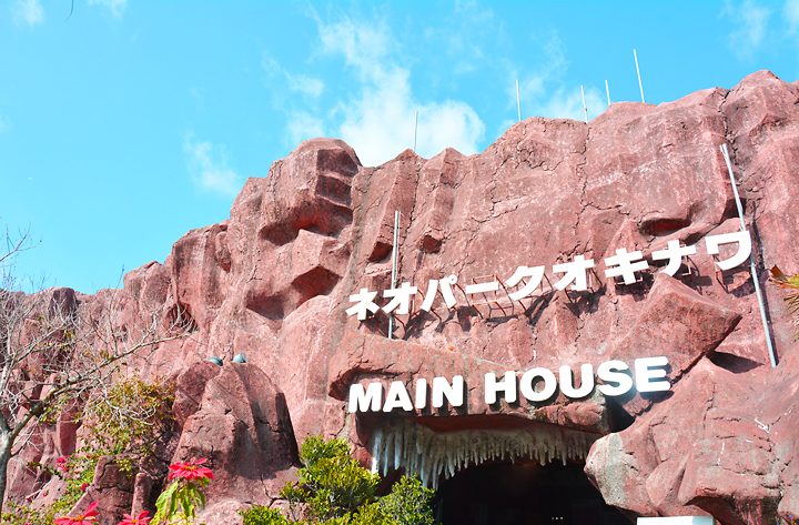 沖縄の観光スポット ネオパーク沖縄 鳥や動物に出会える体験型施設